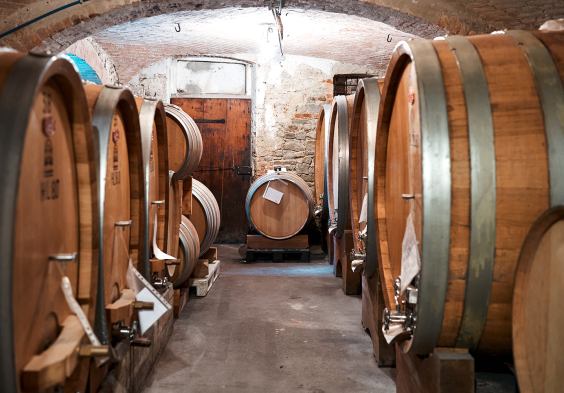 Giovanni Canonica 2022 Faesser