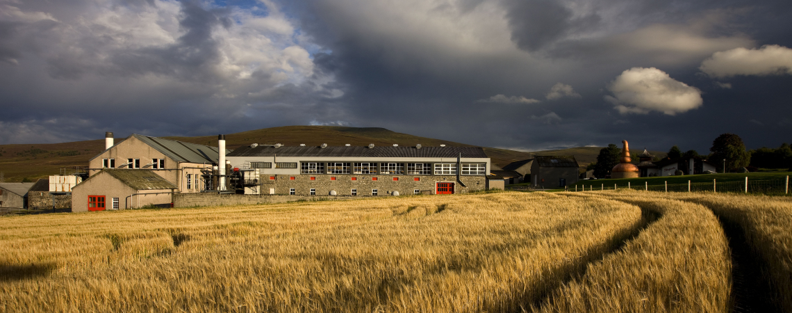 Großes Gebäude hinter goldgelbem Getreidefeld unter dramatischem Himmel.