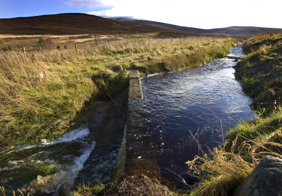 Glenfarclas 101011 0069