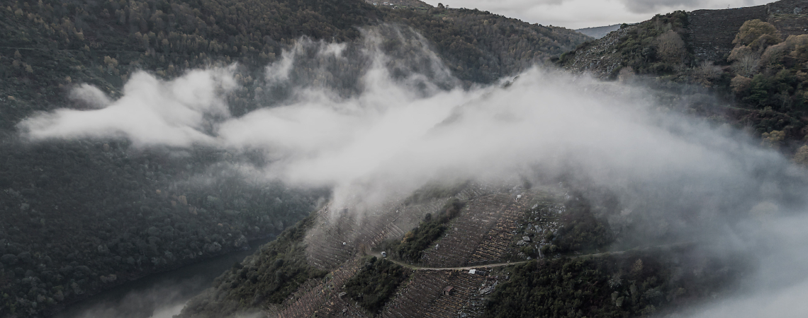 Nebelverhangene Hügel mit dichtem Wald und verborgener Straße.