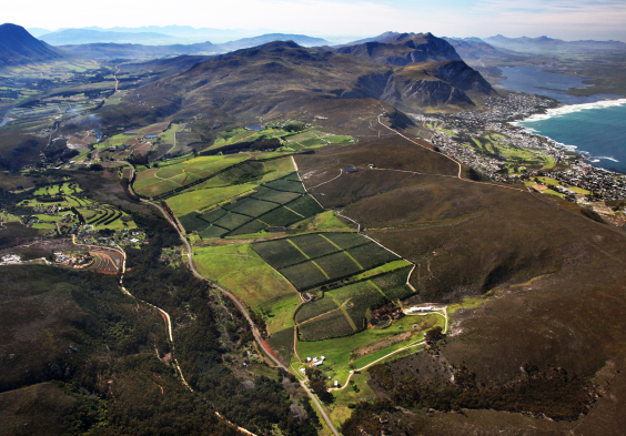 Hamilton Russell Hemel en Aarde Area