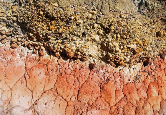 Hamilton Russell Vineyards clay base and stony topsoil