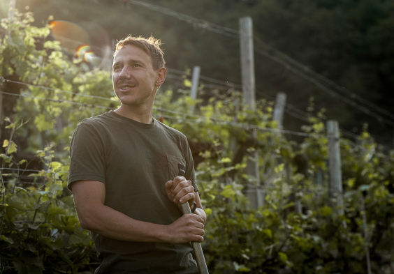 Hoegl Wachau (c)Martina Siebenhandl 003