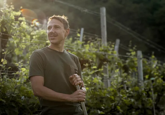 Hoegl Wachau (c)Martina Siebenhandl 003