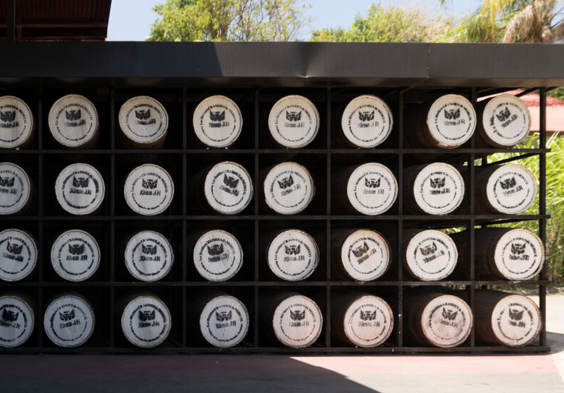 J.M Rhum Impressionen6