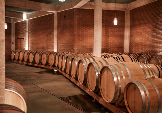 J. Hofstaetter 2022 Faesser