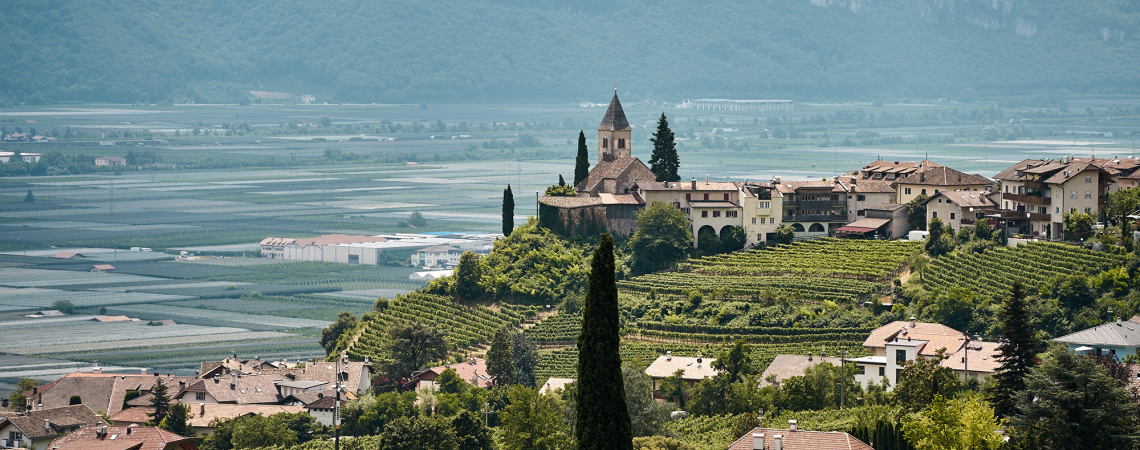 Malerisches Dorf mit Kirche auf einem Hügel, umgeben von Weinbergen und Feldern.