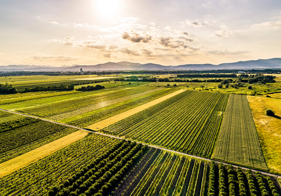 Johanneshof Reinisch lores tattendorf 0092