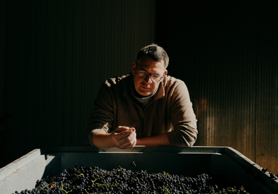 Johanneshof Reinisch Tattendorf Julius Hirtzberger