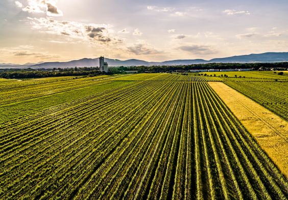 Johanneshof Reinisch frauenfeld tattendorf 0070