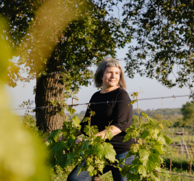Frau im Weinberg bei Sonnenschein, zwischen grünen Reben, Baum im Hintergrund.