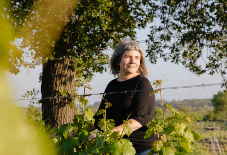 Frau im Weinberg bei Sonnenschein, zwischen grünen Reben, Baum im Hintergrund.
