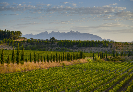 Juve y Camps – Can Rius J.Elias 9.14 18