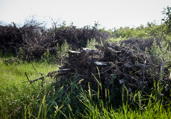 KVP ott freigabe sozialemedien 059