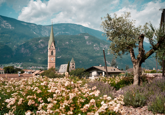Kellerei Terlan Ausblick