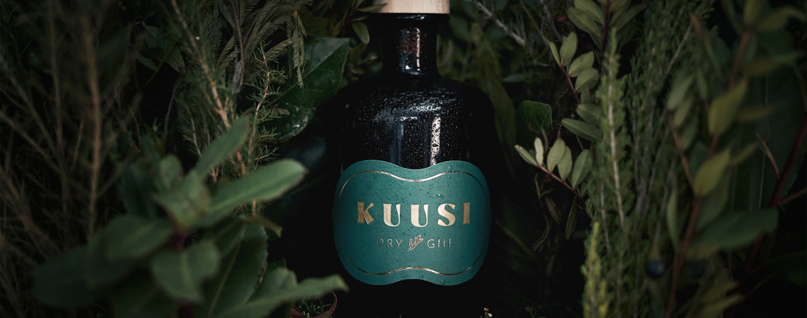 Dunkle Ginflasche mit Holzverschluss, umgeben von üppigem grünem Laub.