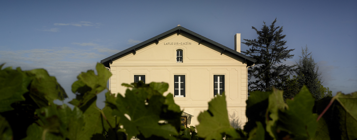 Helles zweistöckiges Haus hinter grünen Weinreben vor blauem Himmel.