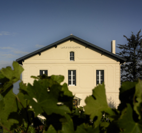 Helles zweistöckiges Haus hinter grünen Weinreben vor blauem Himmel.