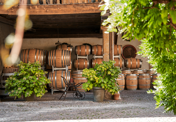 Lageder 2022 Faesser