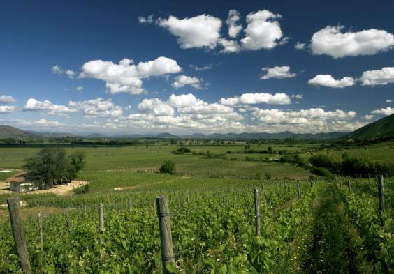 Lapostolle – Clos Apalta Fruehling