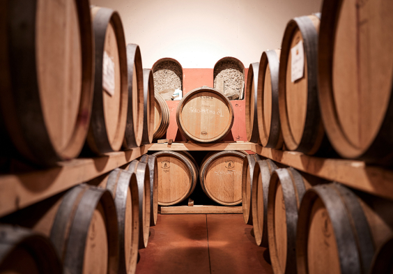 Le Due Terre 2022 Faesser