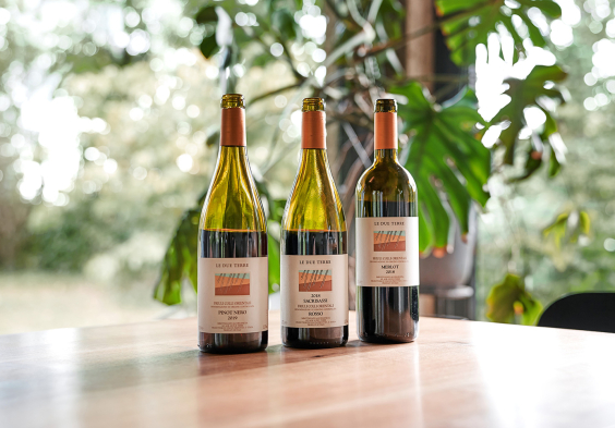 Le Due Terre 2022 Flaschen