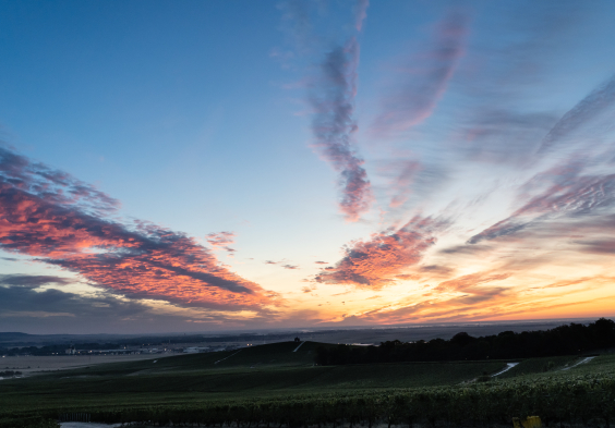 Legras Haas Chouilly 2