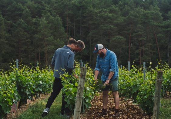 Legras Haas Les Riceys 6