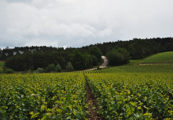 Legras Haas Les Riceys