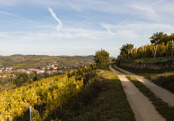 Leindl Heiligenstein mit Blick auf den Kogelberg