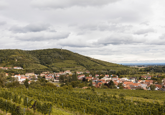 Leindl Kogelberg Blick auf den Heiligenstein