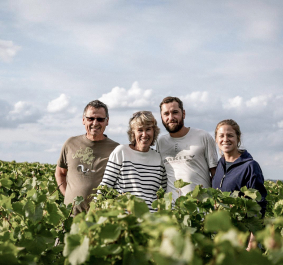 Vier Personen lächeln inmitten eines grünen Weinbergs unter bewölktem Himmel.