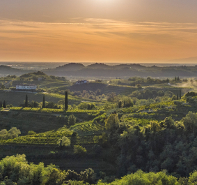 Sonnenuntergang über hügeliger Landschaft mit Weinbergen und Häusern, malerische Aussicht.