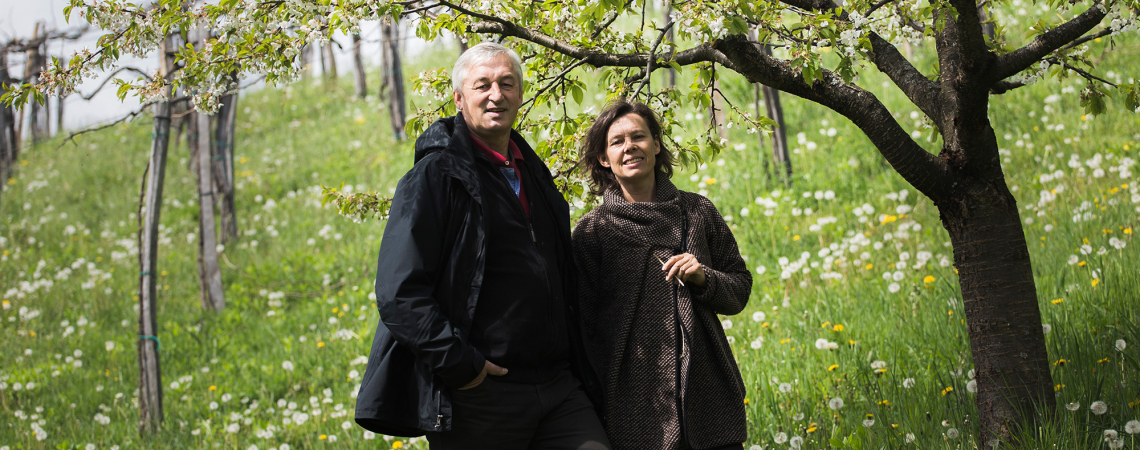 Zwei Personen stehen lächelnd unter blühendem Baum auf einer saftig grünen Wiese.