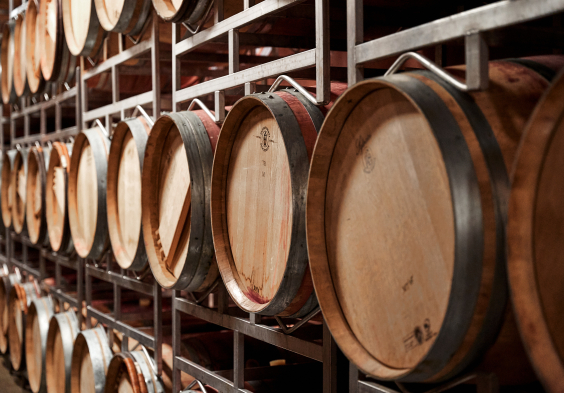 Markowitsch Impressionen2