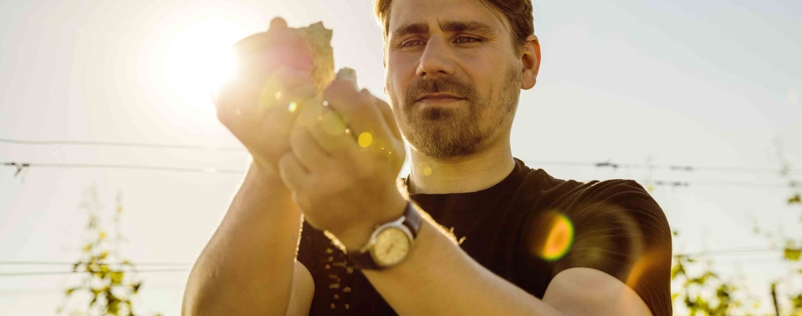 Mann inspiziert Hopfenpflanze im Sonnenlicht, umgeben von Natur.