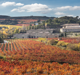 Hügellandschaft mit bunten Weinbergen und einem Gutshof im Herbst.