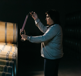 Person entnimmt Weinprobe aus Fass in dunklem Weinkeller.