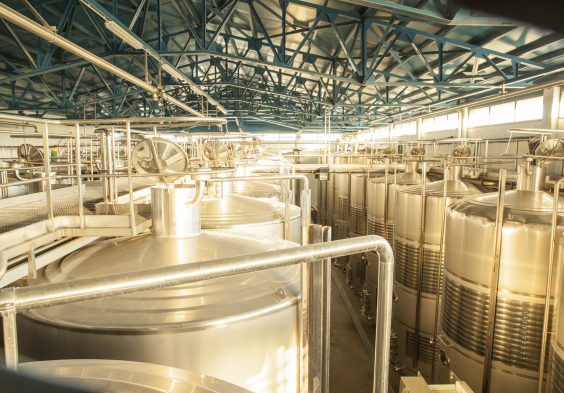 Marques del Silvo (1)