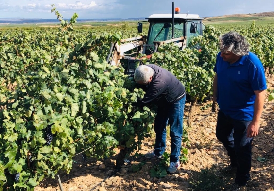 Marques del Silvo (10)