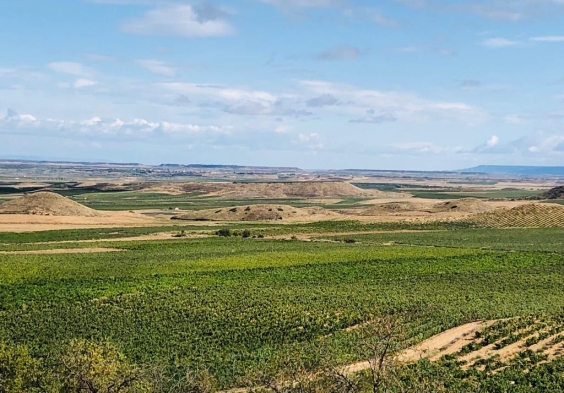 Marques del Silvo (4)