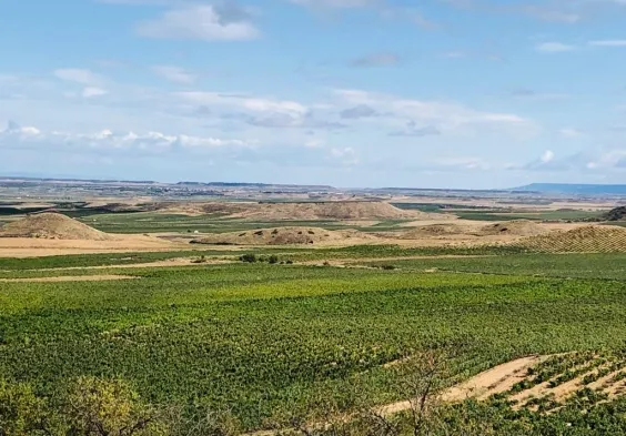 Marques del Silvo (4)