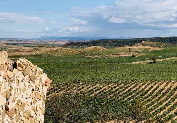 Marques del Silvo (5)