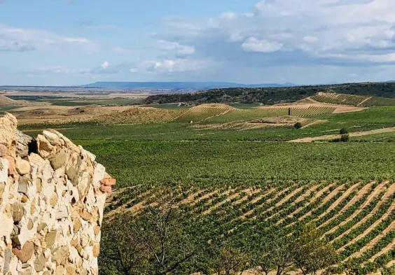 Marques del Silvo (5)