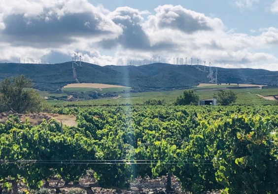 Marques del Silvo (8)