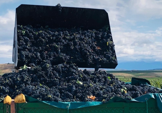 Marques del Silvo (9)