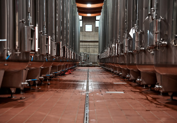 Masottina 2022 Keller