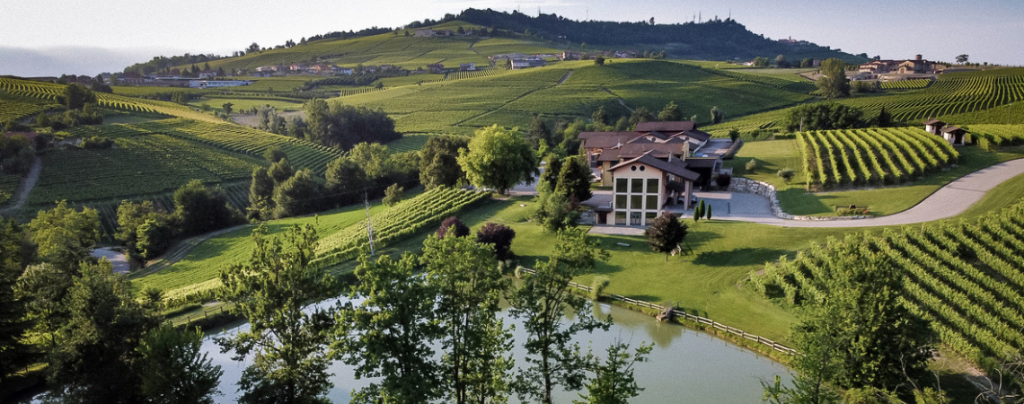 Grünes Tal mit Weinbergen, Haus und kleinem Teich unter blauem Himmel.