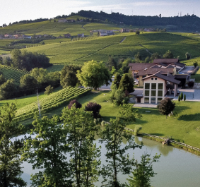 Grünes Tal mit Weinbergen, Haus und kleinem Teich unter blauem Himmel.