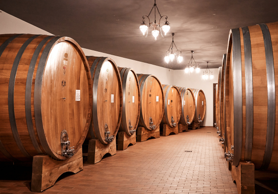 Massolino 2022 Faesser